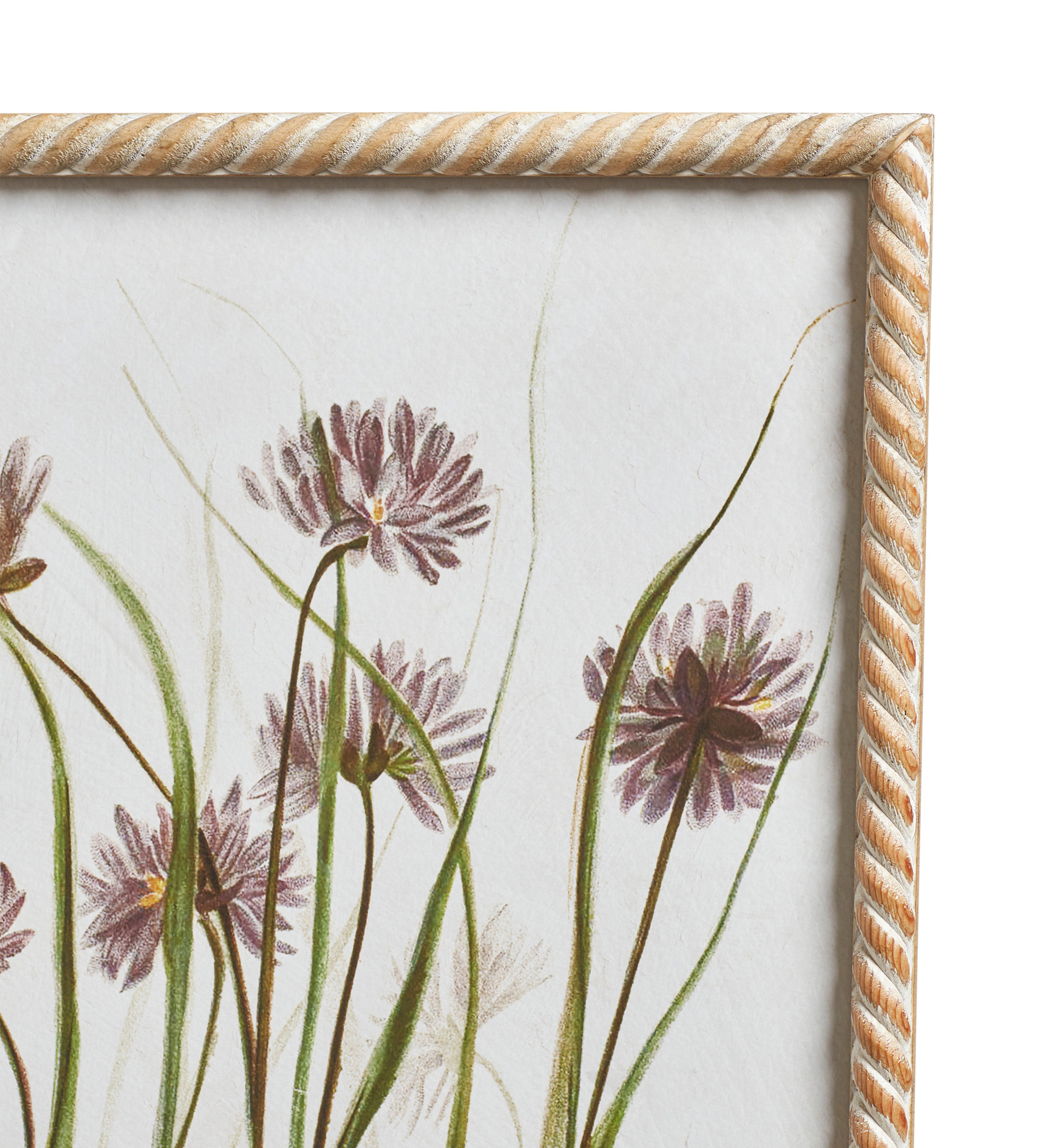 Floral Prints - Set of Six - Multi